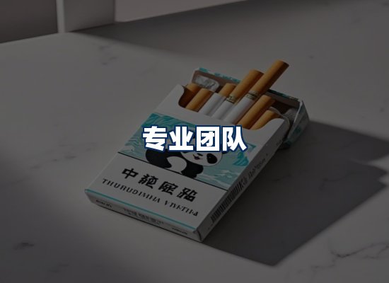 专业团队